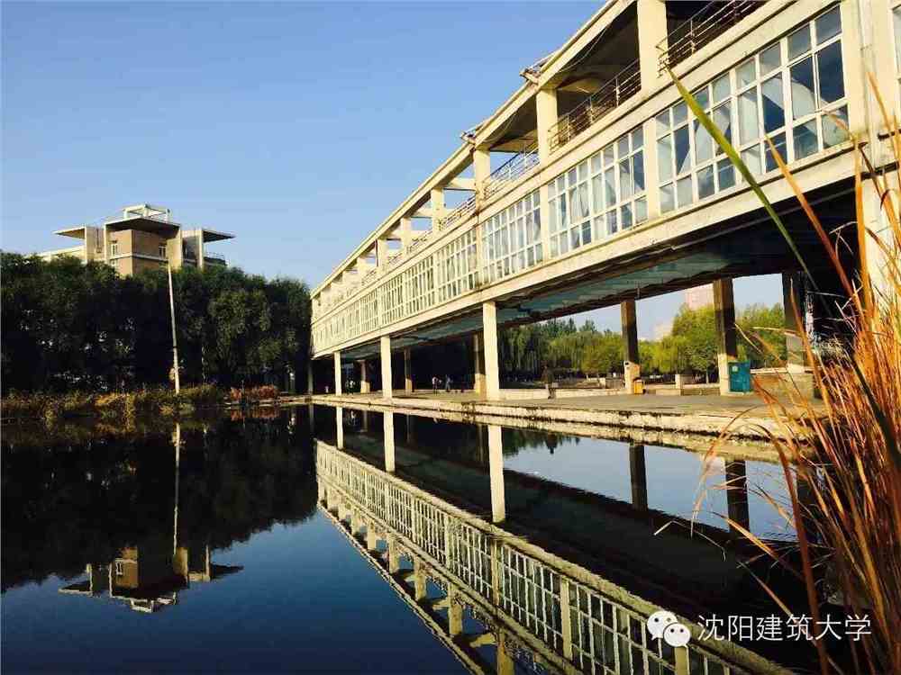 沈阳建筑大学录取分数线深度解析