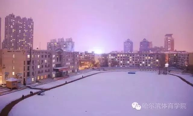 哈尔滨体育学院，冰雪之城的体育摇篮