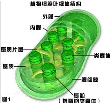 全国最好的肺病医院，守护生命呼吸的绿色港湾