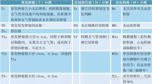 全国肺癌最好的医院排名，权威指南与患者指南