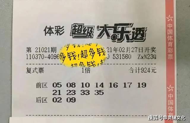 浙江大乐透基本走势图1，解析与预测的智慧