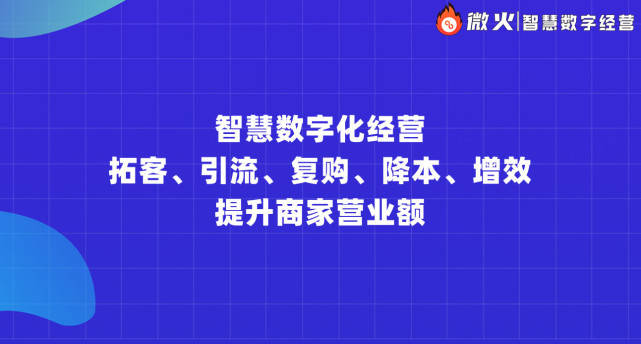 彩票专家的智慧，揭秘数字背后的秘密