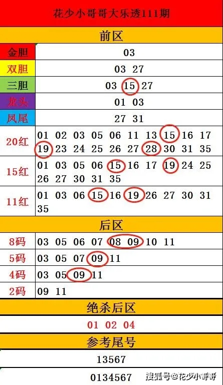 预测大乐透下期号码，科学方法与理性分析的探索