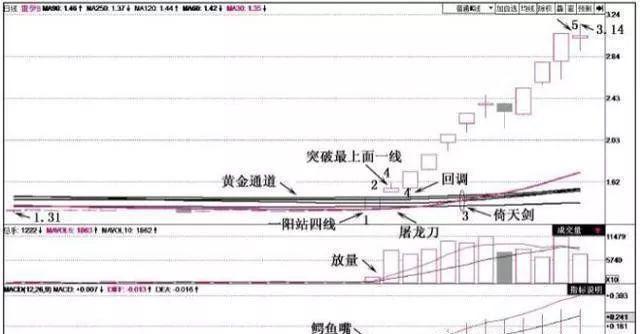 排列五走势图带连线的奥秘与技巧