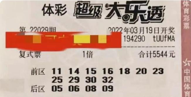 探索中国体彩大乐透单式票，揭秘开奖结果查询的奥秘