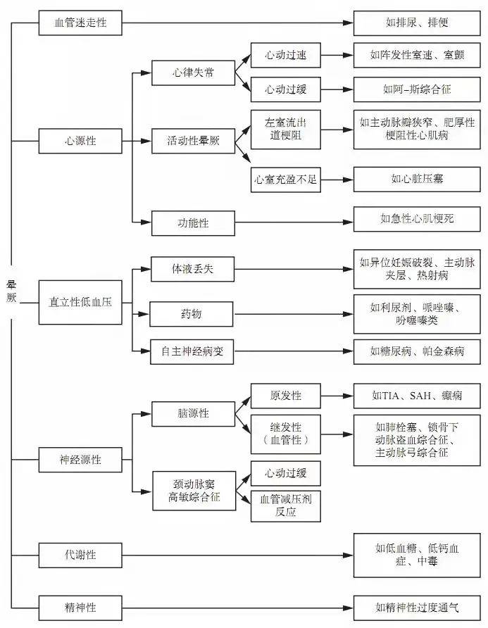 探索双色球除3走势，揭秘数字背后的奥秘