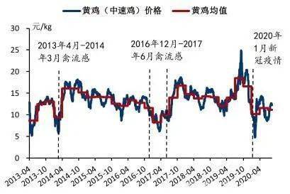 超级大乐透，解锁基本走势图表s的秘密