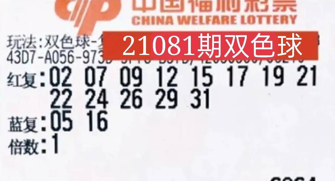 2020年第4期双色球开奖结果揭秘，梦想与幸运的碰撞