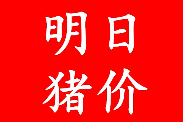 探索香港27期开奖结果，揭秘彩票背后的故事与影响2020年香港第27期开奖结果