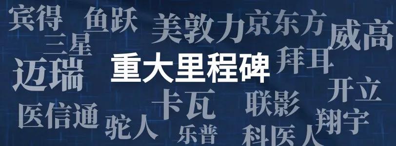 201年香港全年开奖记录，透视彩票市场的风云变幻香港2021开奖历史记录