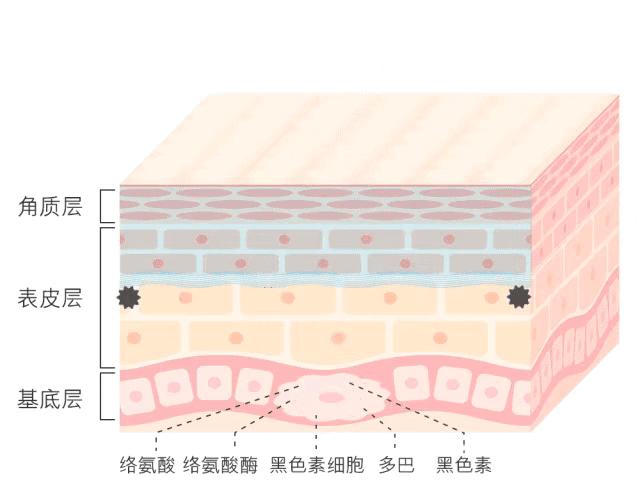 生肖预测