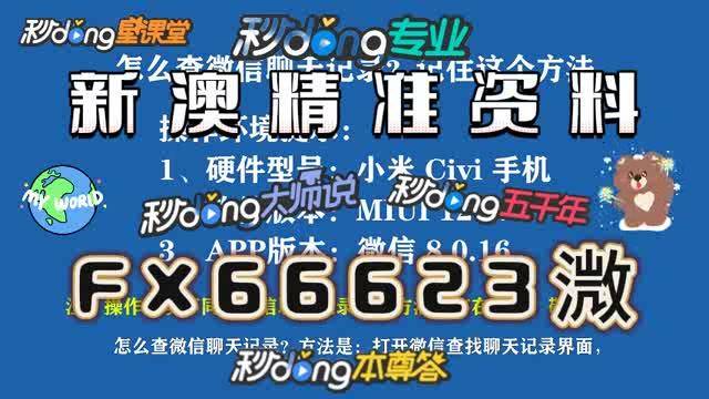 揭秘新澳内部资料精准一码，深度解析与理性探讨澳门内部正版资料2011