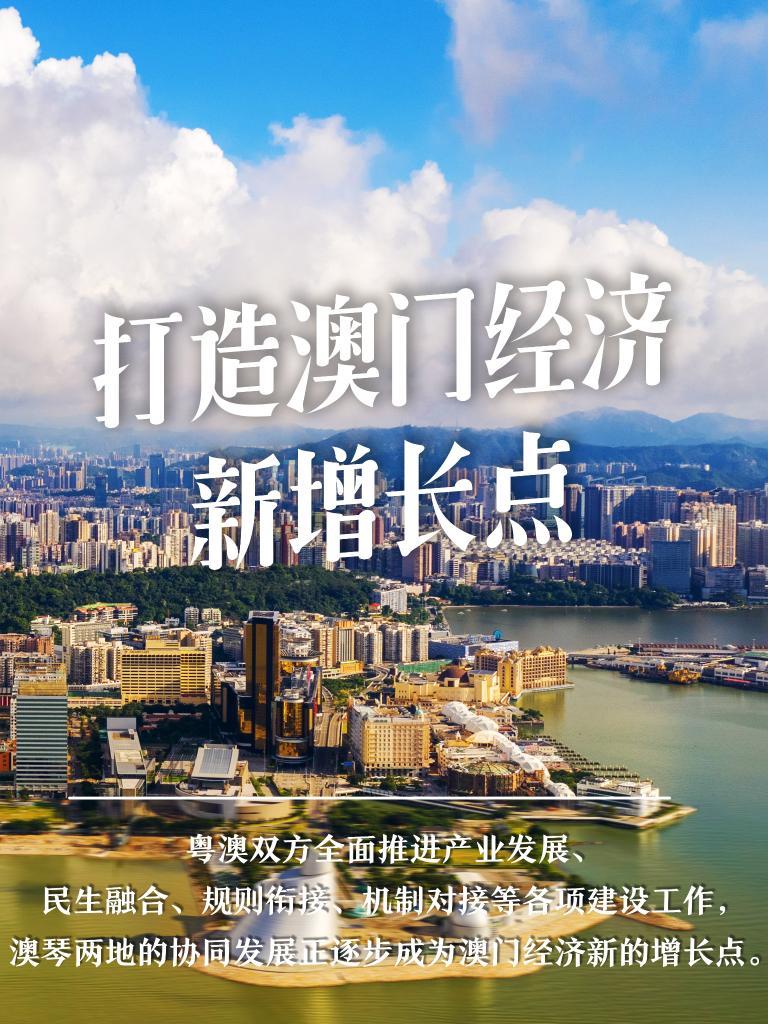 澳门2035免费资料大全，探索未来之城的秘密与机遇澳门2023免费资料大全维美