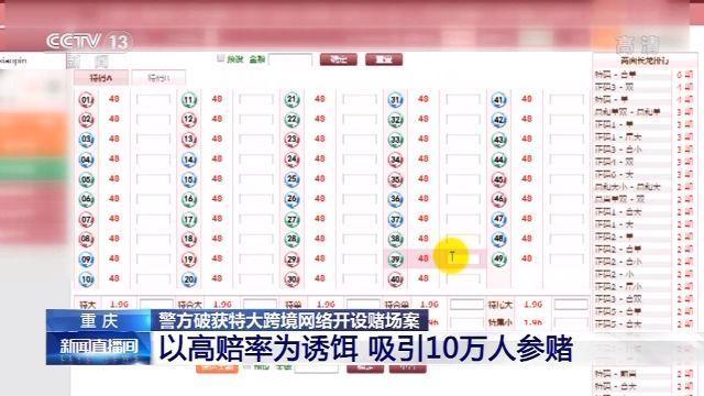 香港今晚开奖结果+开奖记录