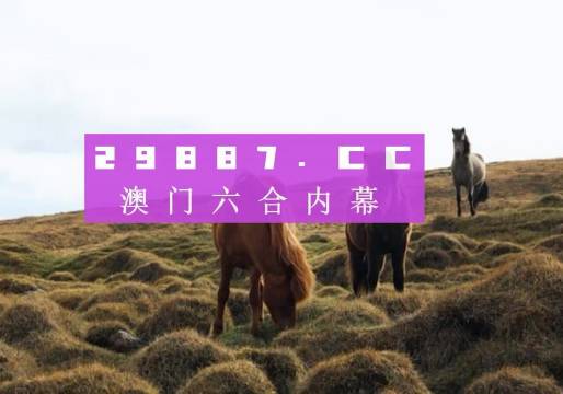 澳门新老开奖结果203,历史与未来的交汇新老澳门开奖结果2023开奖记录下载