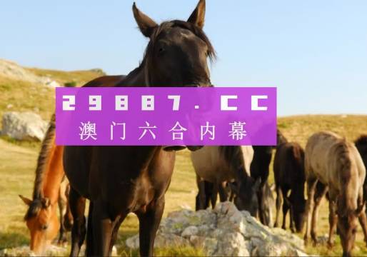 澳门资料正版大全，探索与保障的双重之旅澳门管家婆100%精准