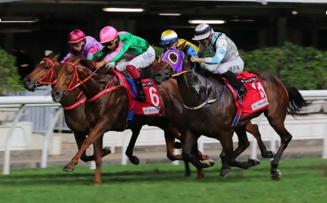 探索香港马会，全面资料大全