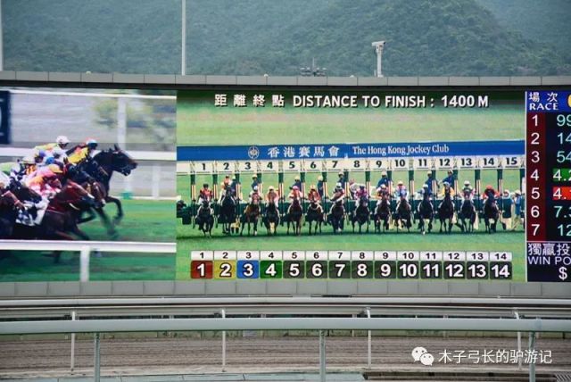 探索香港马会2019，全面资料大全香港2021年马会资料大全