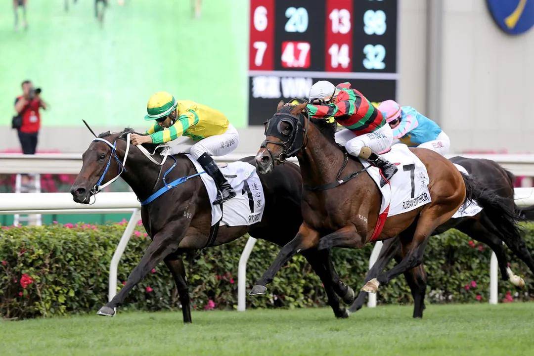 2019香港马会全年资料大全,精彩赛事与辉煌成就回顾香港2021年马会资料大全