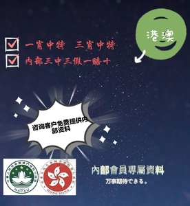 揭秘香港最准一码中持资料,精准投注的背后香港最准一码中持资料2021075期,香港
