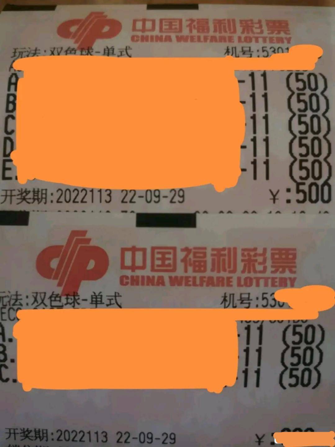 澳门今晚开奖结果查询,揭秘新一期的幸运时刻新澳门今晚开奖结果查询直播