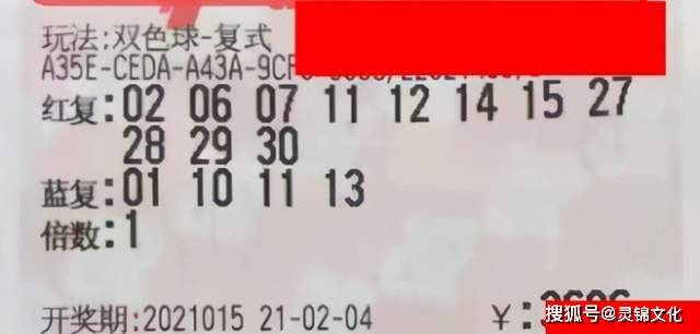 澳门新开奖，探索数字背后的幸运与希望新澳门开奖结果记录