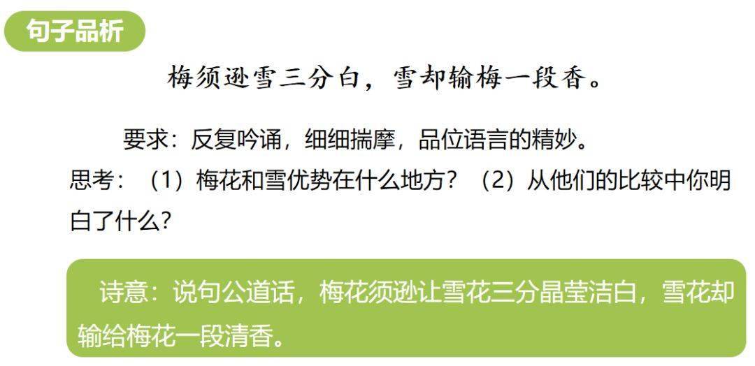 探秘白小姐49，一句诗中的精准奥秘白小姐449999精准一句诗的起源是什么?