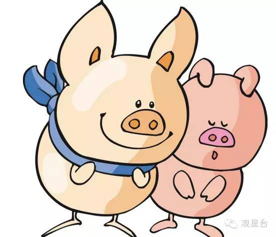 揭秘香港6合开奖结果走势，2019年8月最新分析与预测香港6合开奖号码
