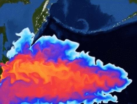 2019年香港6合开奖结果走势分析图，深度剖析与未来预测香港6合开奖号码
