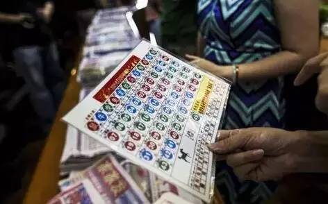 探索香港六合资料，揭秘刘伯温视频的免费版真相