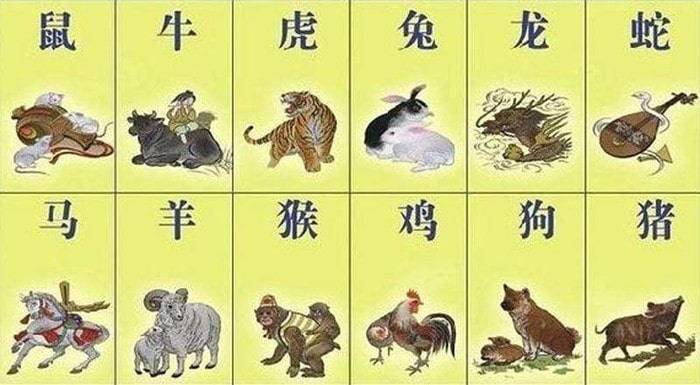 探索香港6合12生肖表，揭秘最新中文版图片与文化奥秘