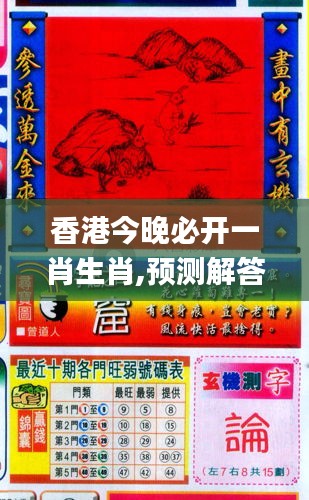 香港6合和彩生肖卡