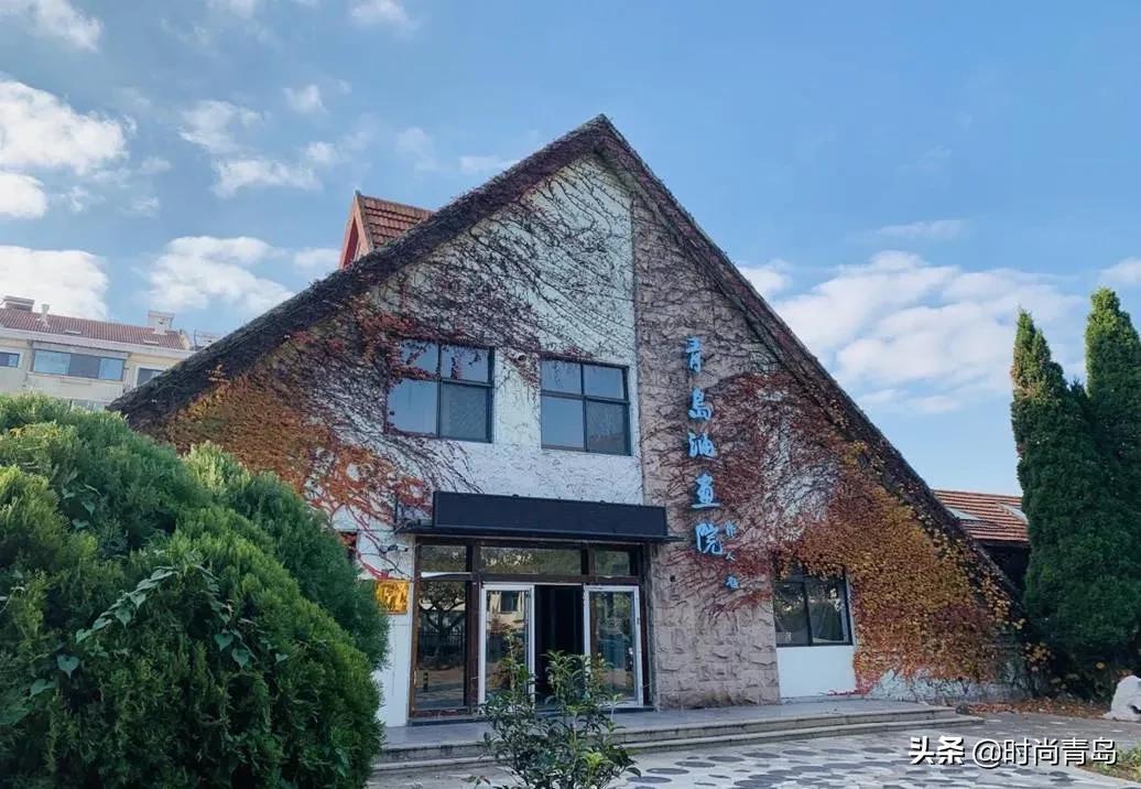 2043年香港6合和彩生肖数字开奖记录图汇总，回顾与展望2021香港6合和彩生肖数字