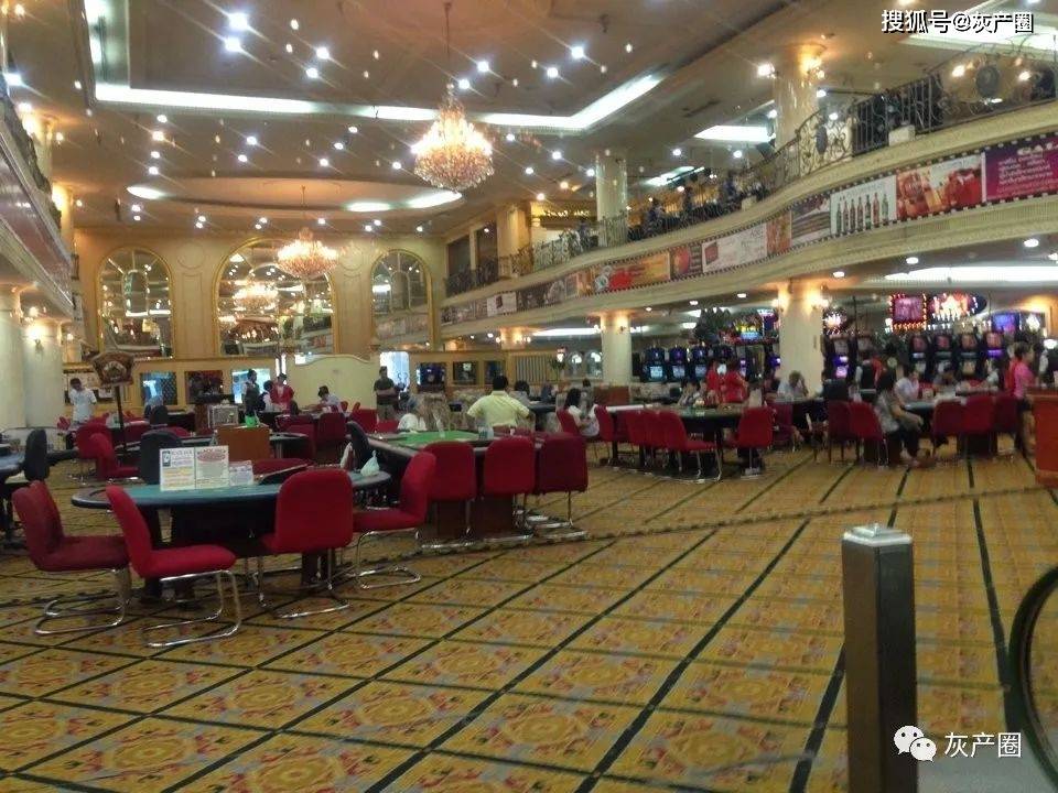 香港6合开奖官网最新查询结果与今日彩民关注热点香港6合开奖号码